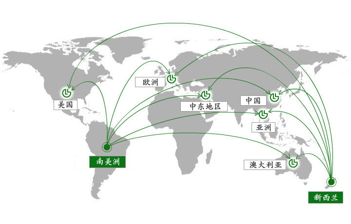 Your link in global lumber supply Your link in global lumber supply